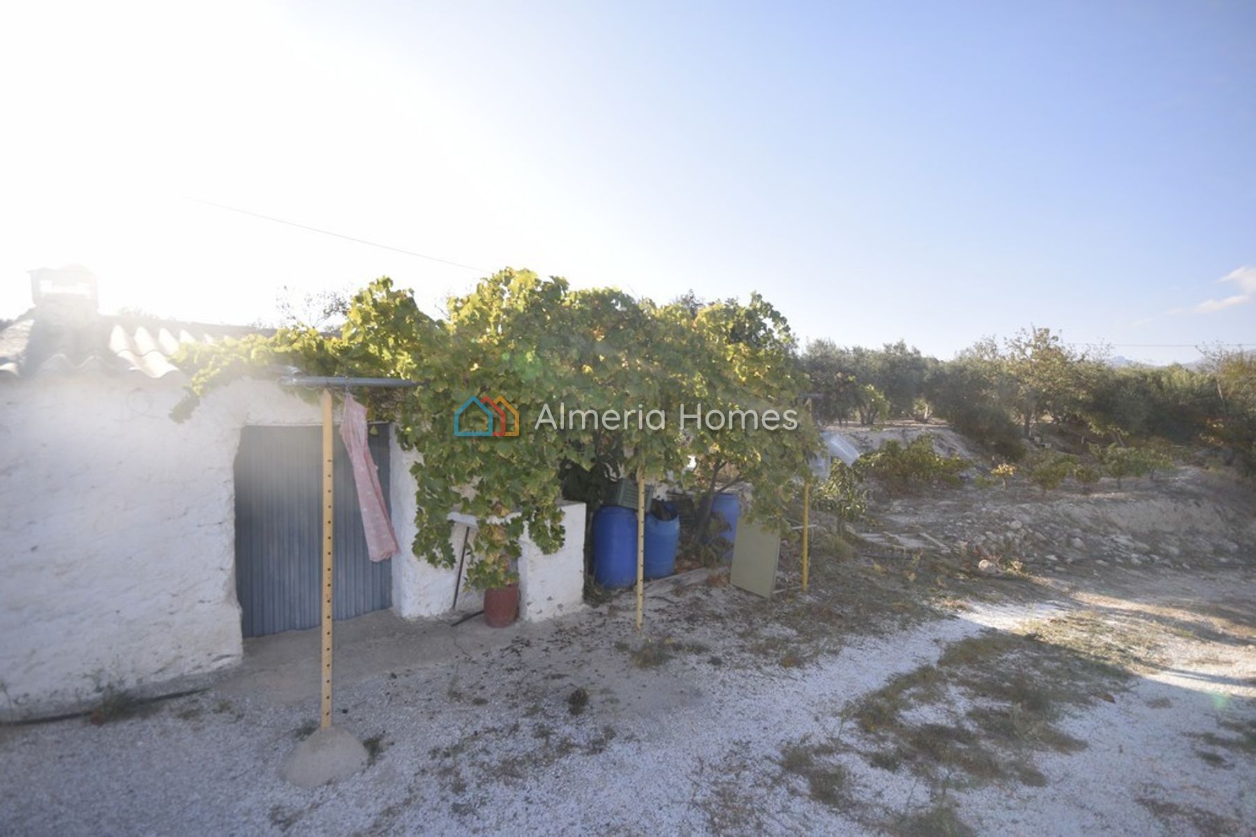 Casa Carlos — Villa for sale in Somontin, Almeria — Image #3