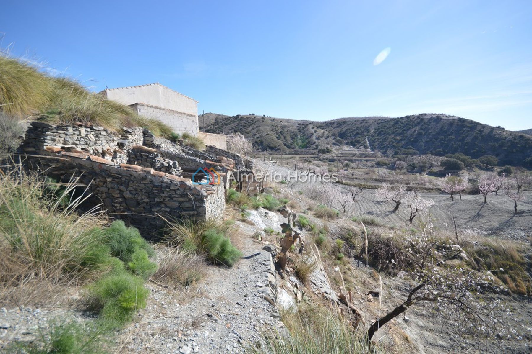 Cortijo Marisol — Country House for sale in Albox, Almeria — Image #2