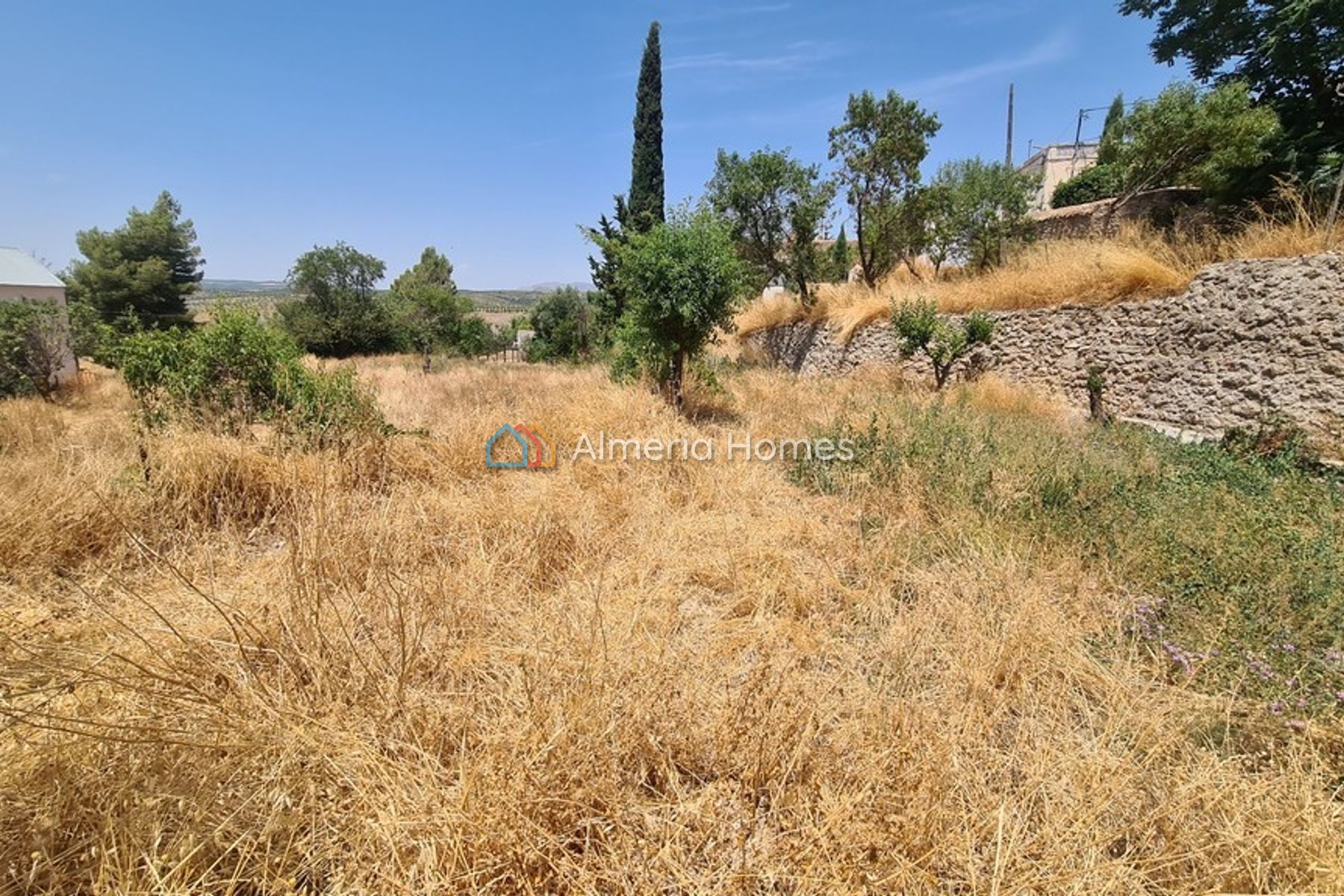 Parcela El Margen — Land for sale in Oria, Almeria — Image #3