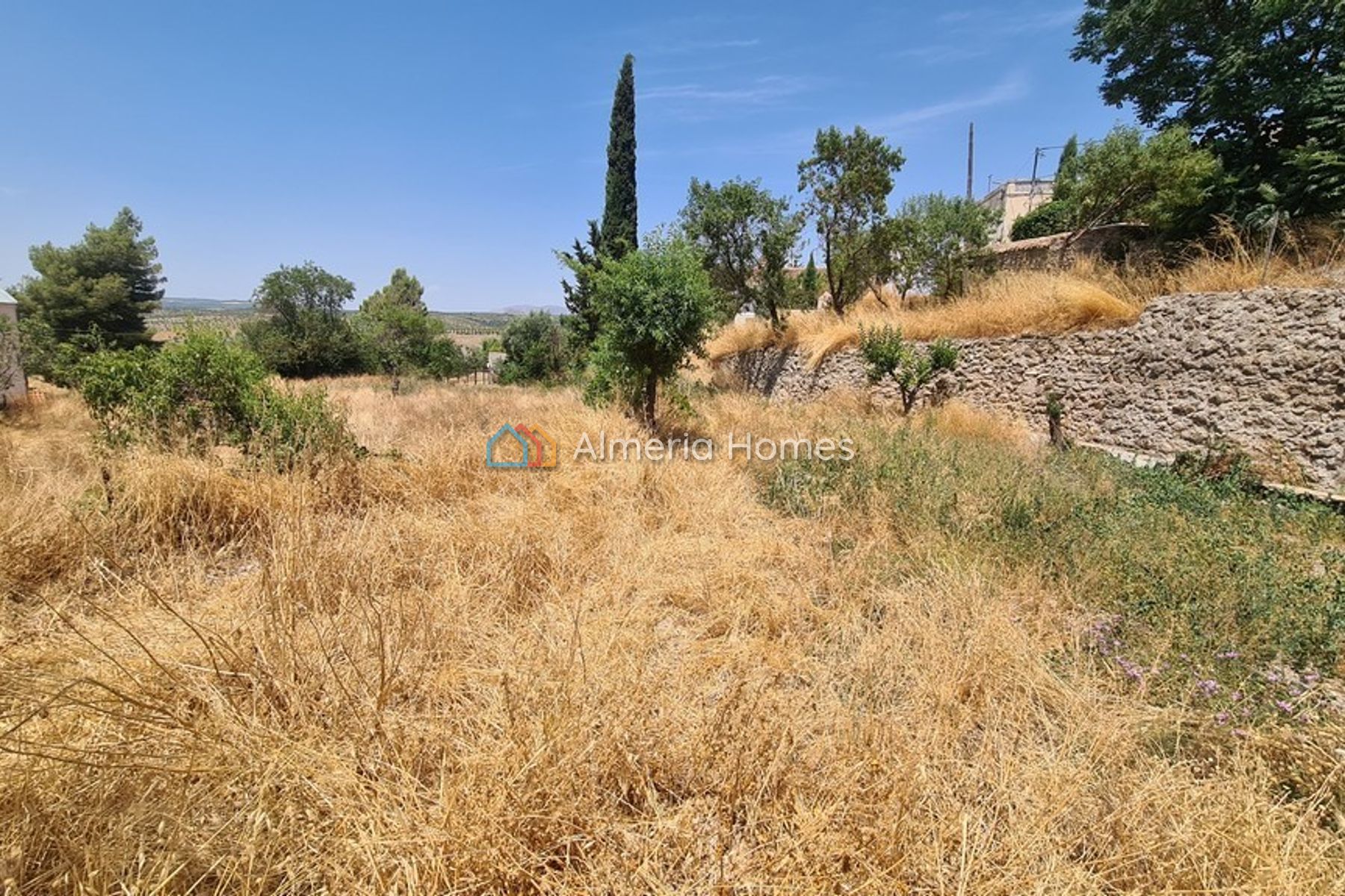 Parcela El Margen — Land for sale in Oria, Almeria — Image #2