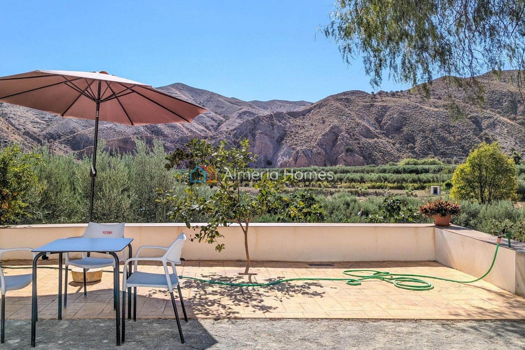 Cortijo Frutas — Country House for sale in Almanzora, Almeria — Image #3