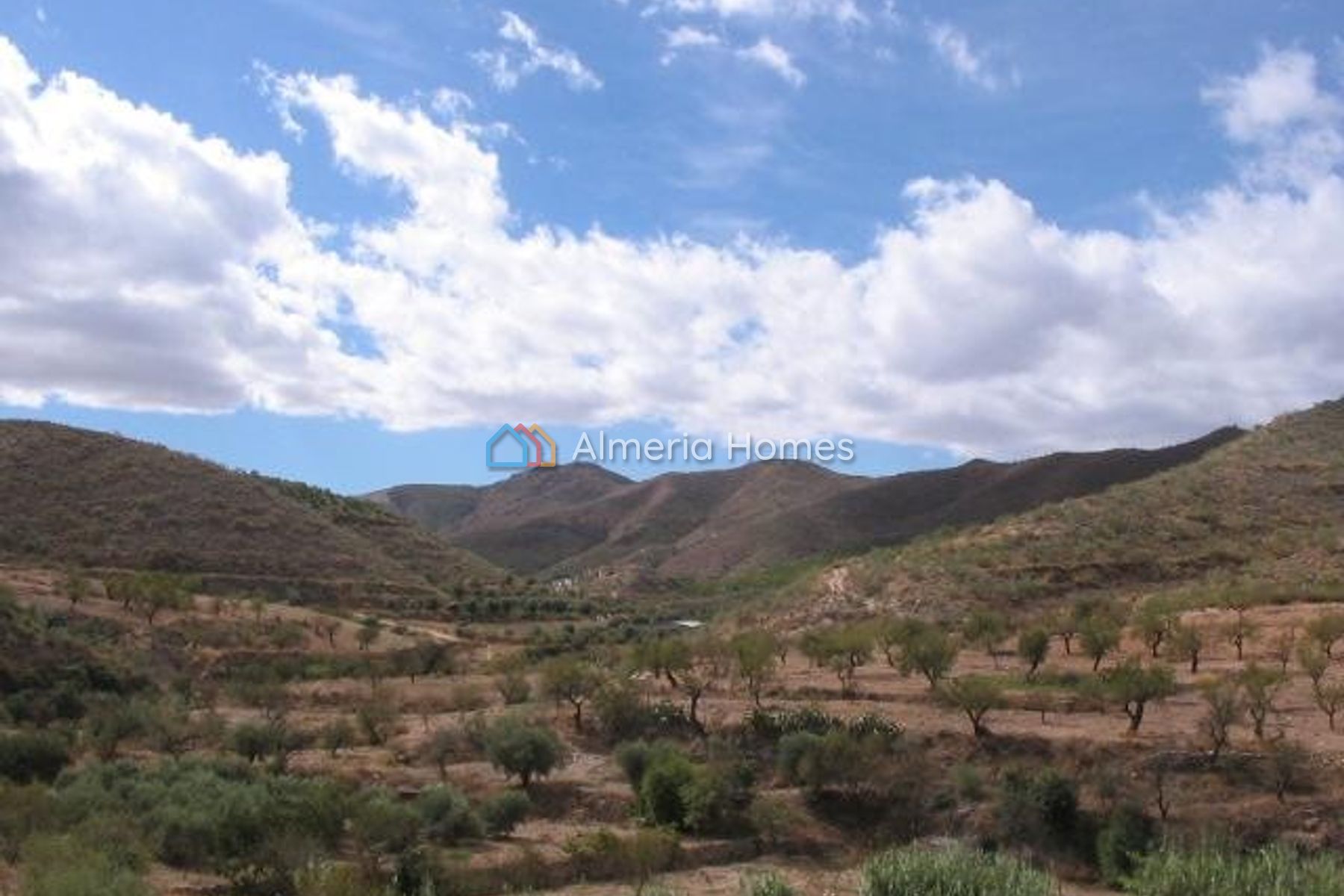 Cortijo Galicia — Country House for sale in Arboleas, Almeria — Image #2