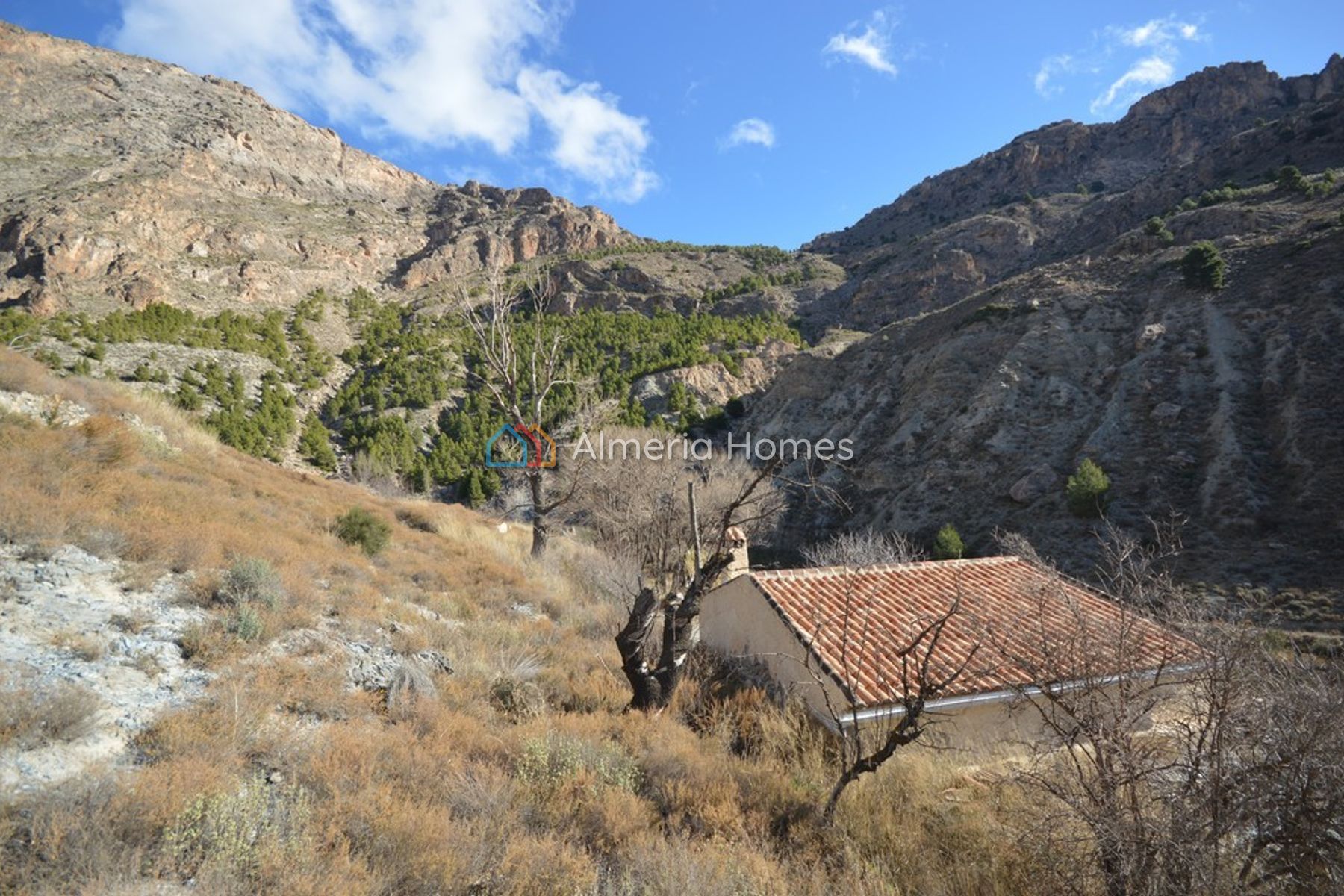 Cortijo Apricot — Country House for sale in Oria, Almeria — Image #3