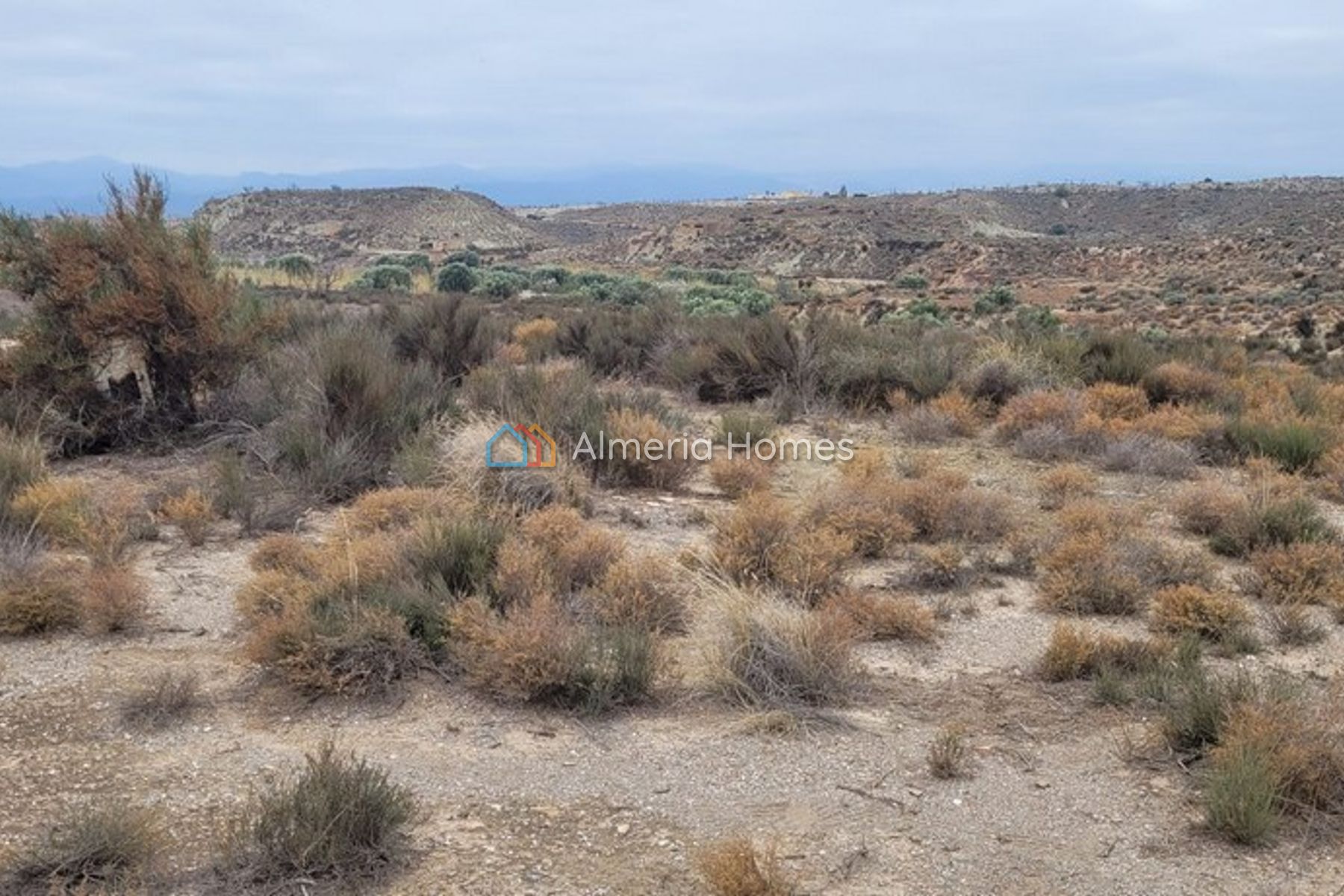 Parcela Jimenez — Land for sale in Albox, Almeria — Image #3