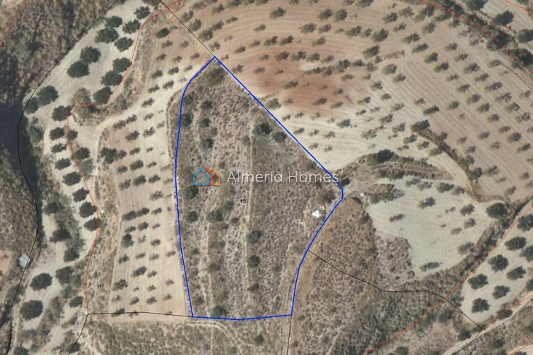 Parcela Cicadas — Land for sale in Albanchez, Almeria — Image #1