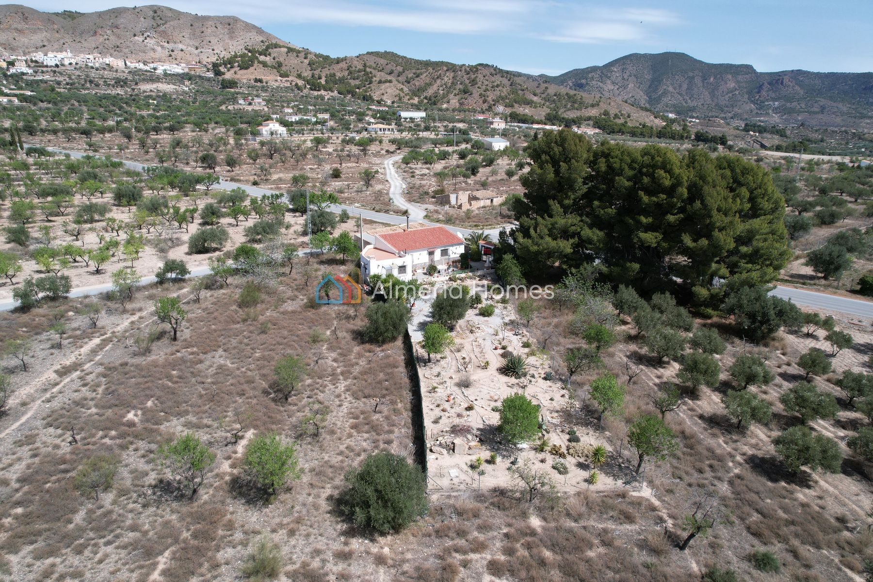 Villa Bliss — Villa for sale in Somontin, Almeria — Image #3