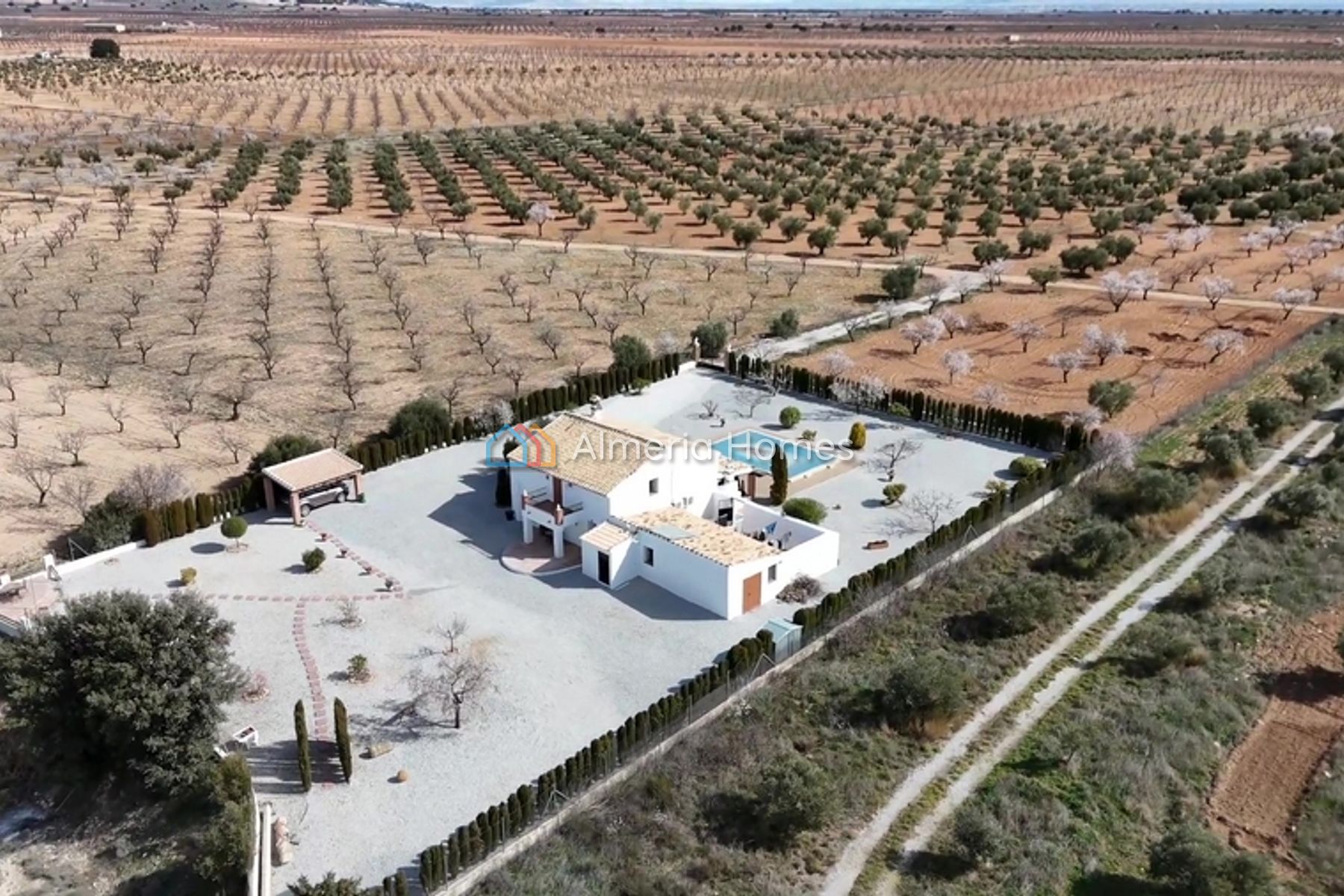 Cortijo Blissful — Country House for sale in Baza, Granada — Image #3