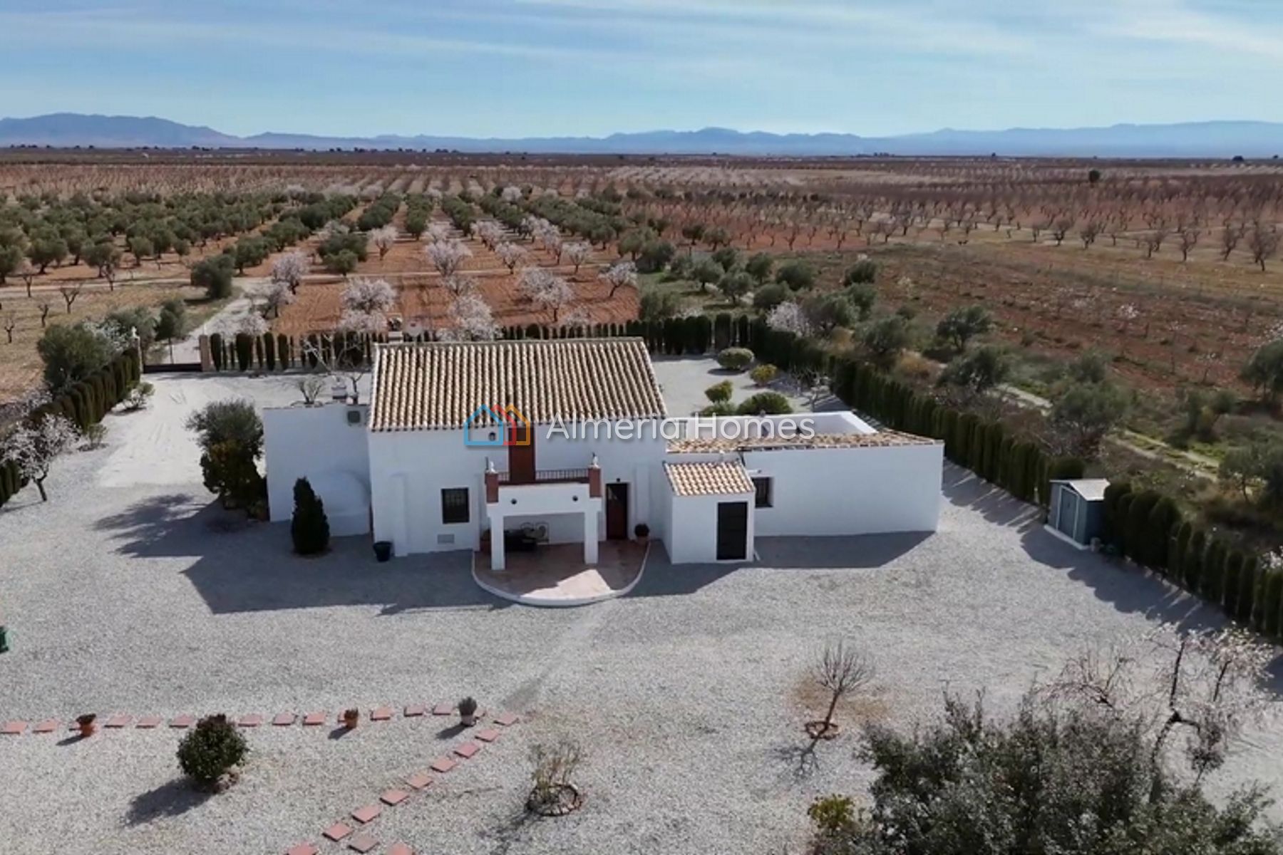 Cortijo Blissful — Country House for sale in Baza, Granada — Image #2