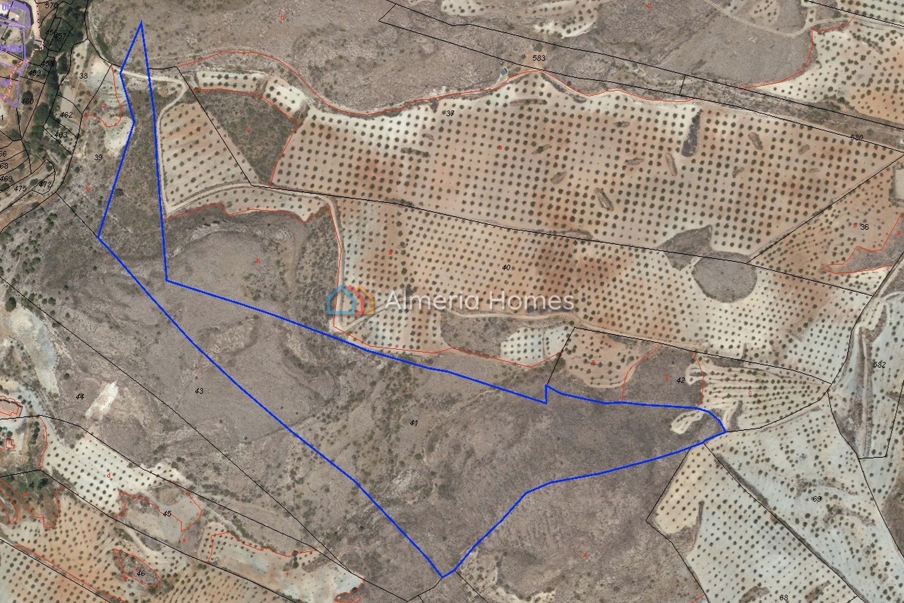 Parcela Bosque &mdash; Grond te koop in Oria, Almeria — Afbeelding #1