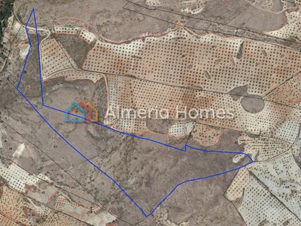 Parcela Bosque: Grond in Oria, Almeria