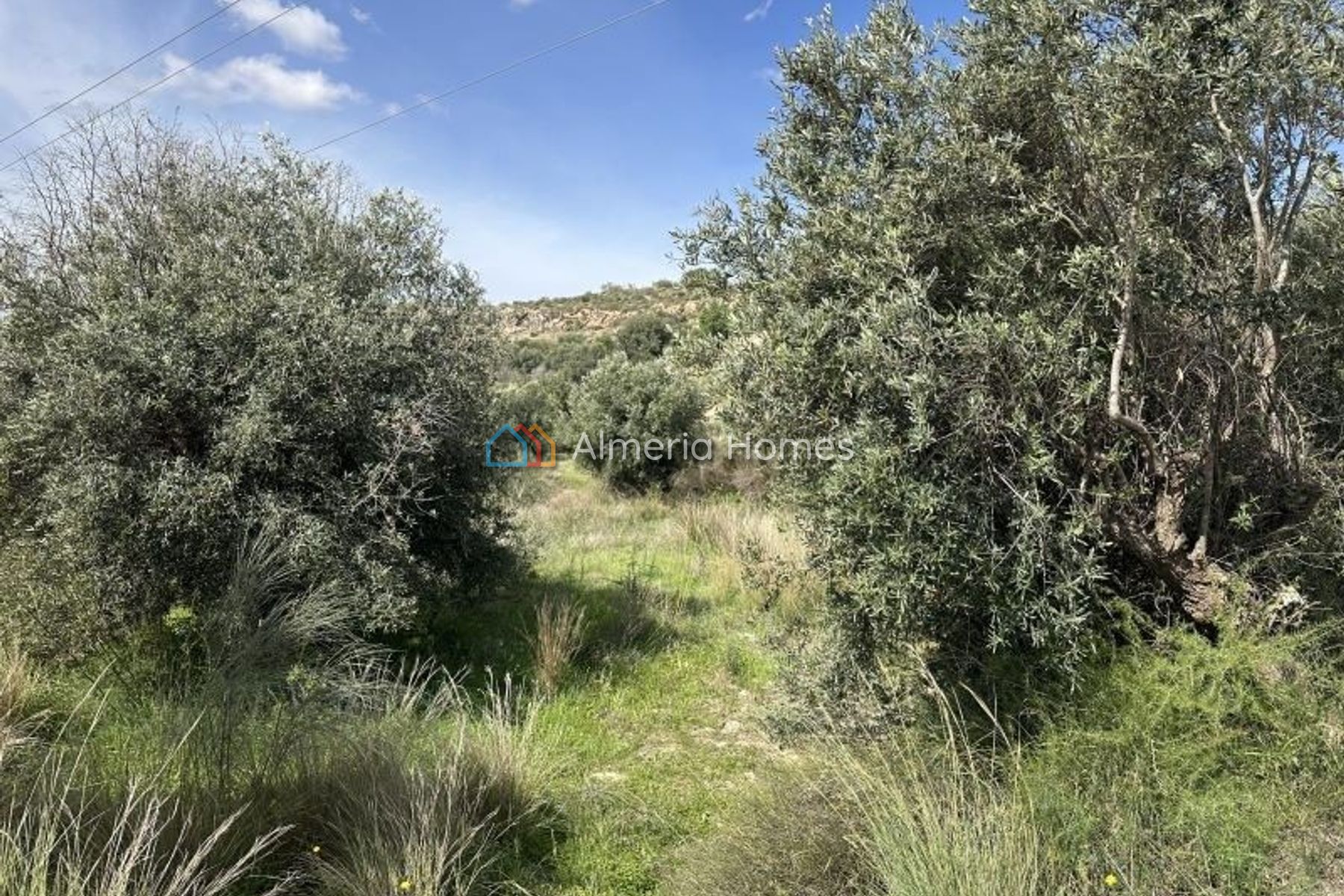 Country House Biggs &mdash; Maison de campagne a vendre dans Los Gallardos, Almeria — Image #3