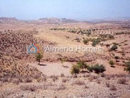 Terreno Rambo: Land in Albox, Almeria