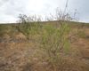 Land in Land, Almeria Province, Seron - €50,000 — £42,145 | Ref: AH-2460 - Image #3