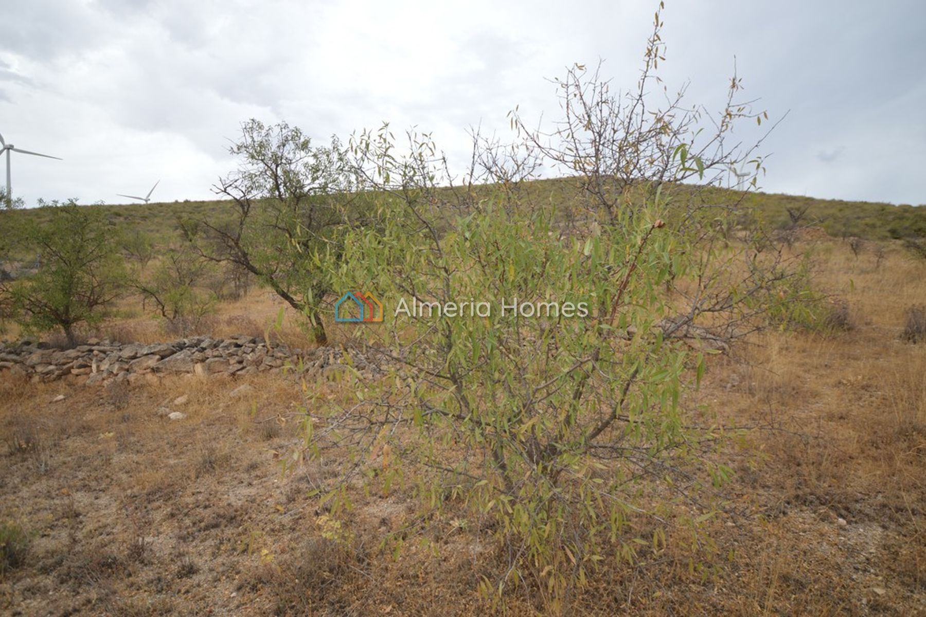 Terreno Alamo — Land for sale in Seron, Almeria — Image #3