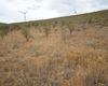 Land in Land, Almeria Province, Seron - €50,000 — £42,145 | Ref: AH-2460 - Image #5