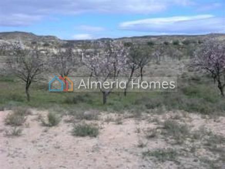 Land Almendras: Land in Partaloa, Almeria