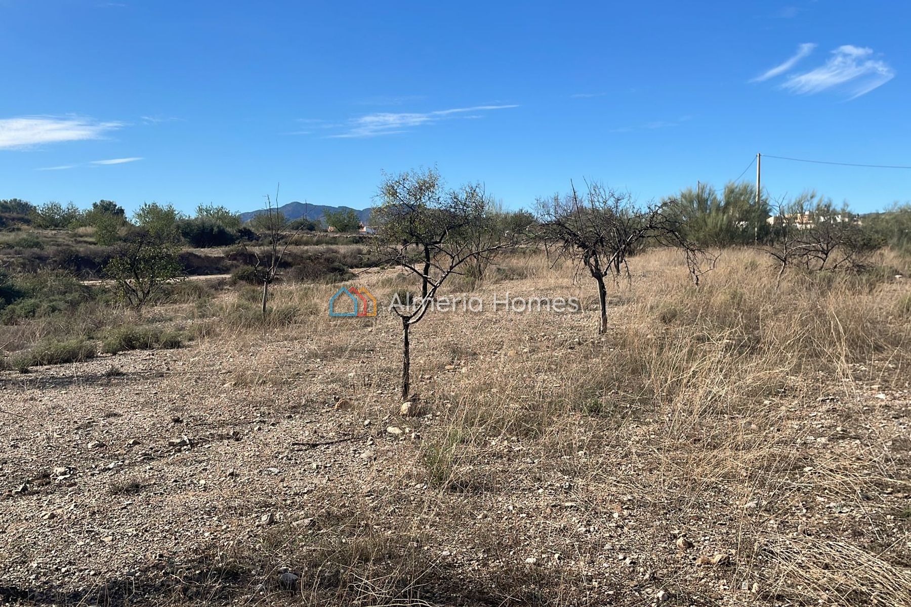 Land Almendras &mdash; Grond te koop in Partaloa, Almeria — Afbeelding #3