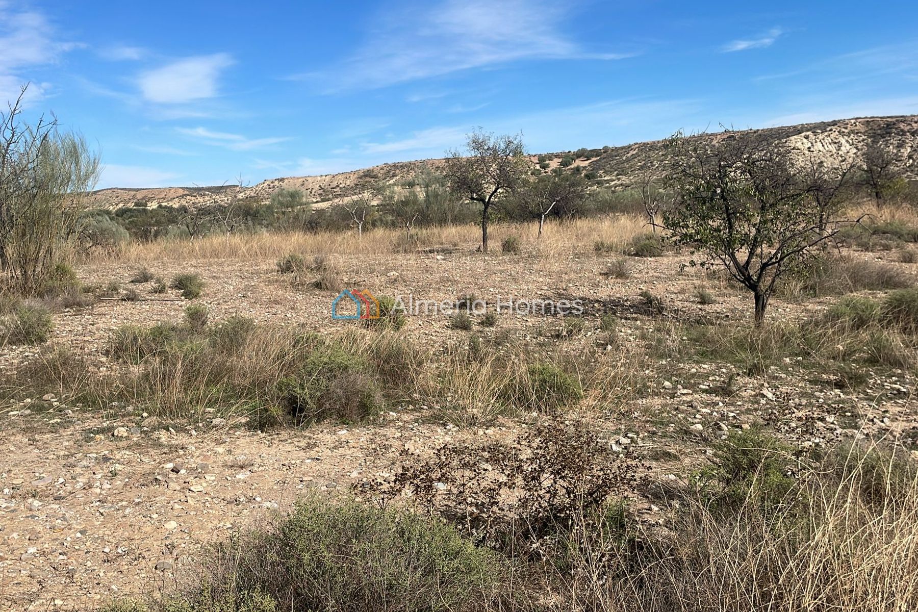 Land Almendras &mdash; Grond te koop in Partaloa, Almeria — Afbeelding #1