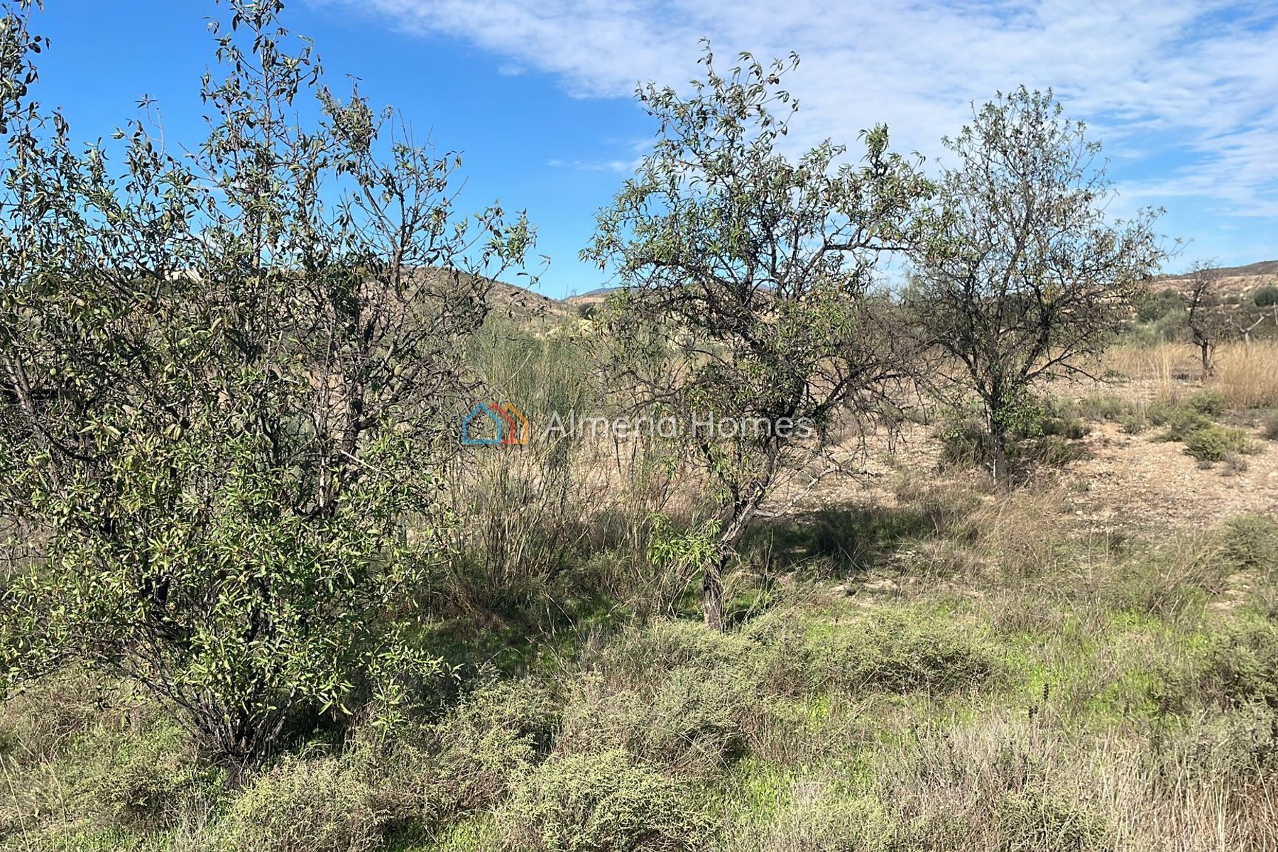 Land Almendras &mdash; Grond te koop in Partaloa, Almeria — Afbeelding #2
